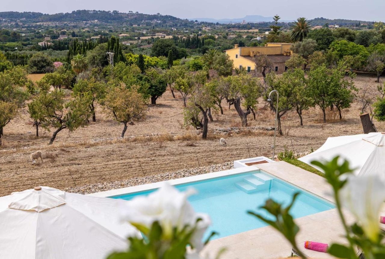 Sa Tanca Llarga Selva Villa Selva (Mallorca)