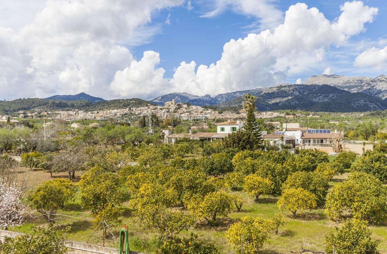 Sa Tanca Llarga Selva * Selva (Mallorca)